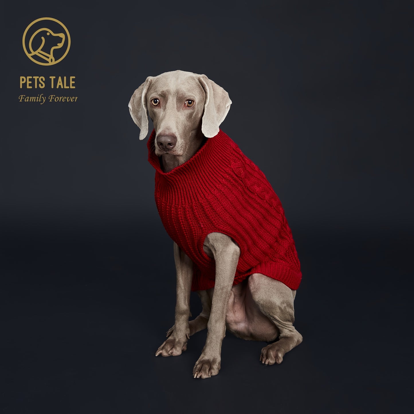 1pc Cozy Pet Knit Sweater - Warm Dog Clothes for Autumn and Winter - Soft, Plain Color, Knitted Design, Pet Friendly, Seasonal Apparel