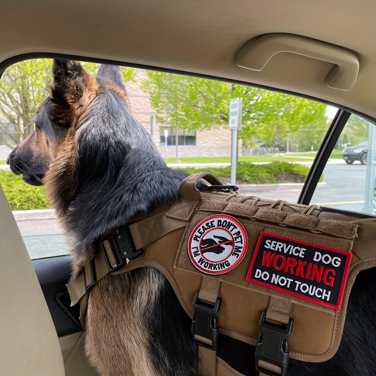 J.CARP 10pcs Service Dog Patches, Acrylic Embroidered Fastener Hook And Loop Patch for Dog Vest Harnesses Collar, Collars for Dogs