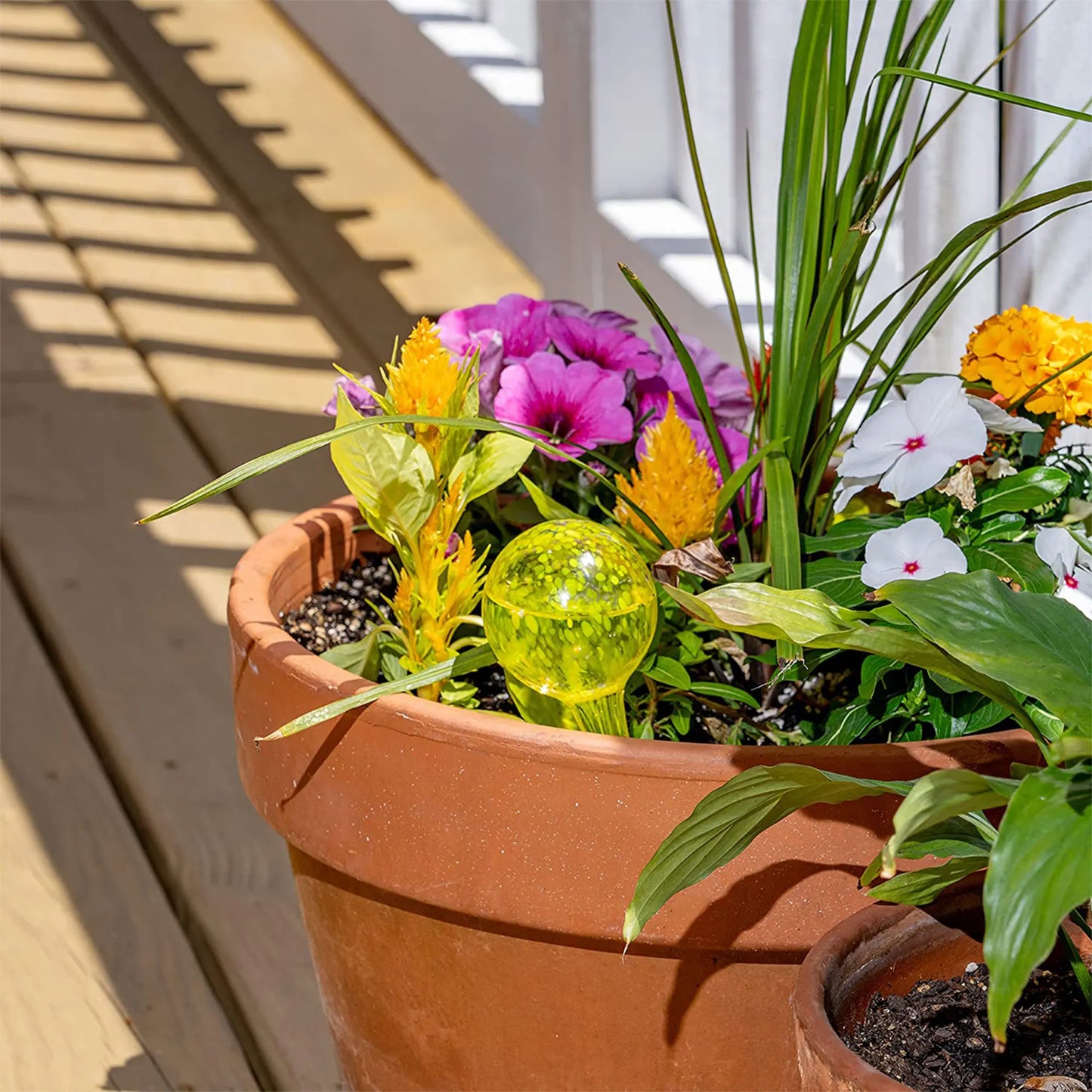 Plant Watering Globe Set for Indoor and Outdoor Plants, Globe Set, Automatic Devices, Terrarium Pots, Decor Flower Vases, 6 Pcs