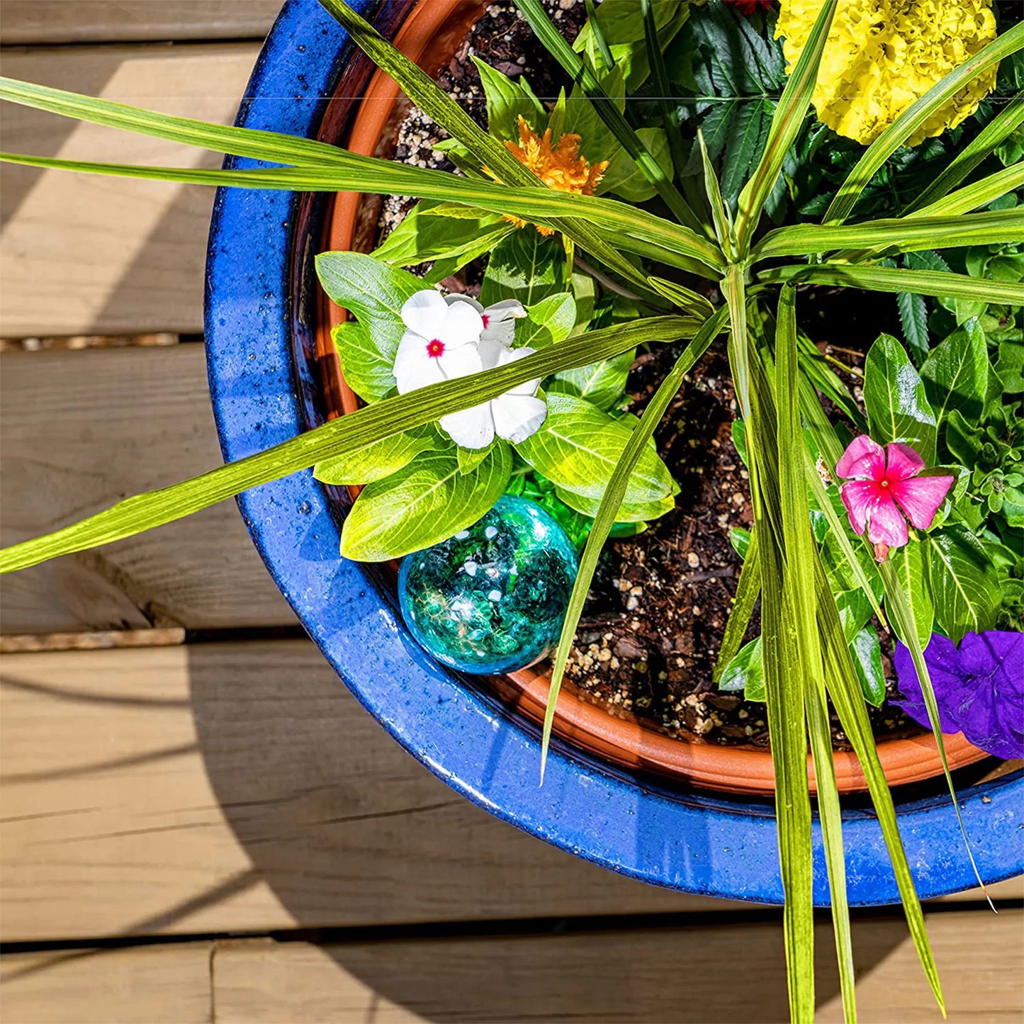 Plant Watering Globe Set for Indoor and Outdoor Plants, Globe Set, Automatic Devices, Terrarium Pots, Decor Flower Vases, 6 Pcs