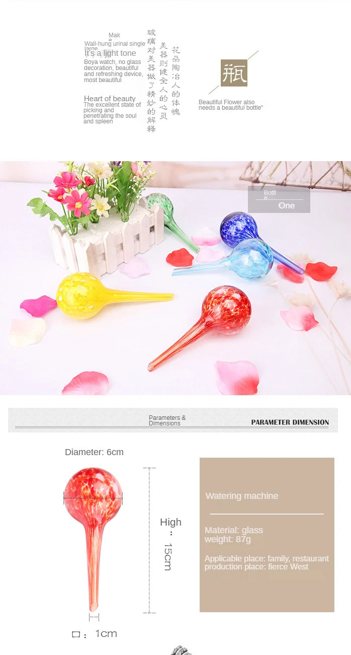 Plant Watering Globe Set for Indoor and Outdoor Plants, Globe Set, Automatic Devices, Terrarium Pots, Decor Flower Vases, 6 Pcs