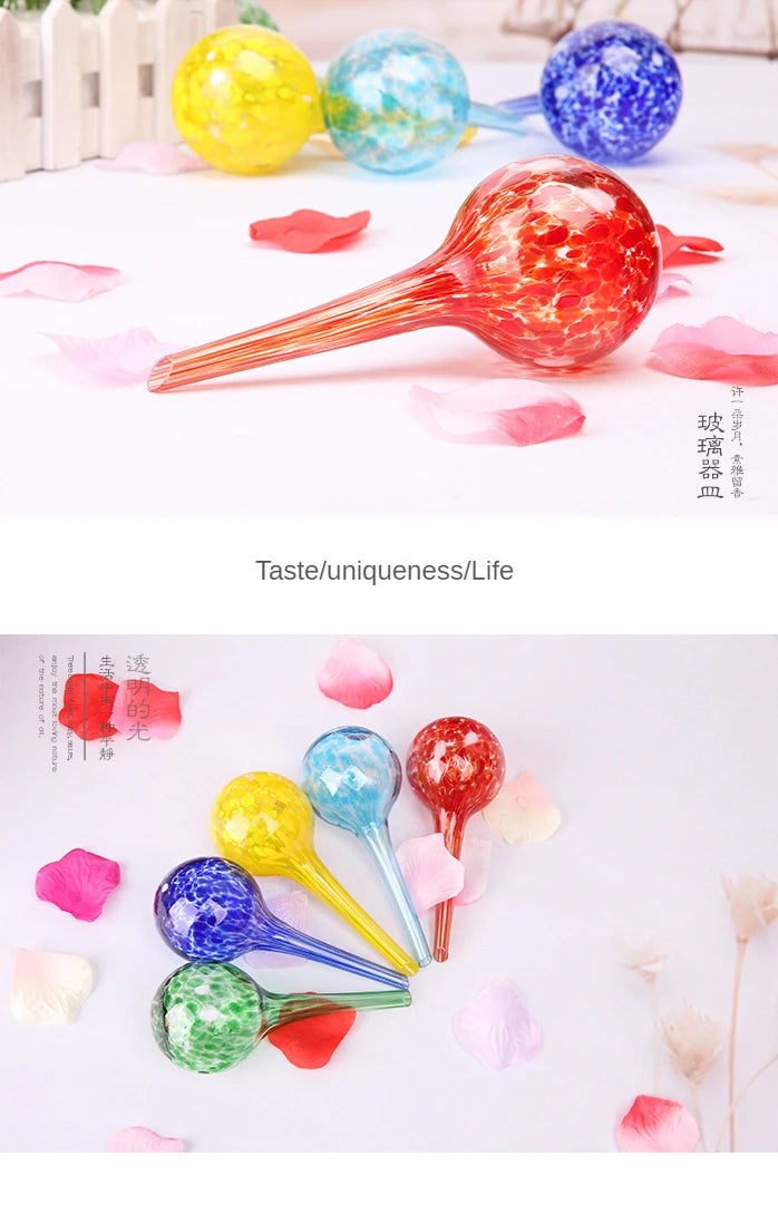 Plant Watering Globe Set for Indoor and Outdoor Plants, Globe Set, Automatic Devices, Terrarium Pots, Decor Flower Vases, 6 Pcs