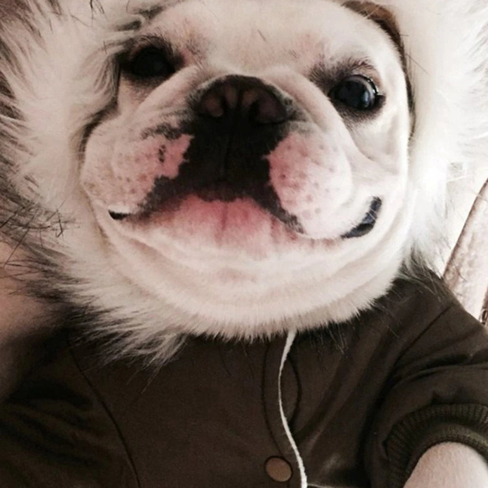 Winter Pet Dog Clothes Warm Dog Hooded Jacket Thicken Coat Jumpsuit for Small Dogs Pet Clothing For French Bulldog Puppy Outfits