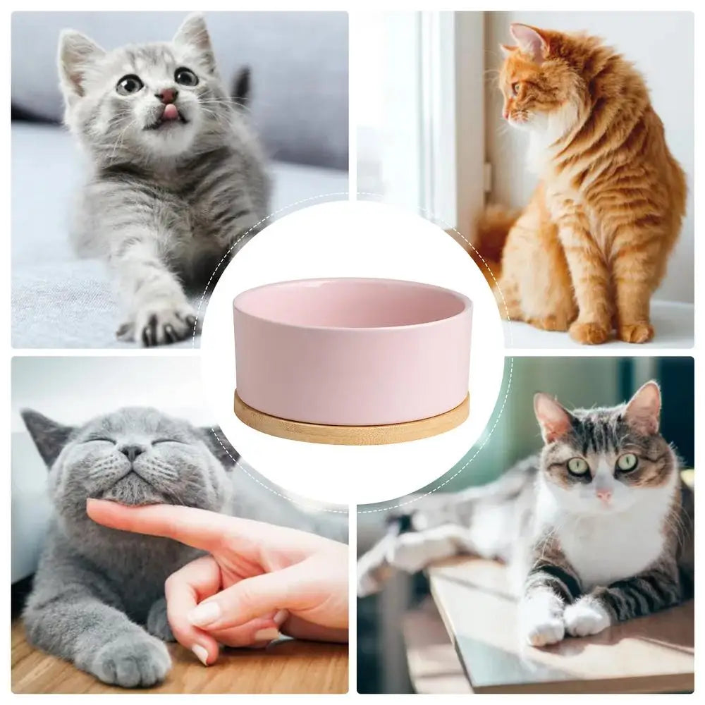 Pet Water Bowl Thermostatic Heated Water Bowl Pet Thermal Bowl Outdoor Heated Cat Bowls Self-Heating Dog Water Bowl