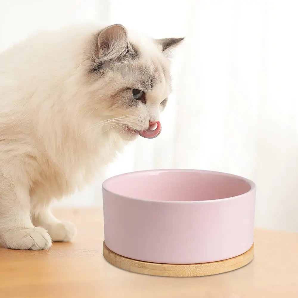 Pet Water Bowl Thermostatic Heated Water Bowl Pet Thermal Bowl Outdoor Heated Cat Bowls Self-Heating Dog Water Bowl